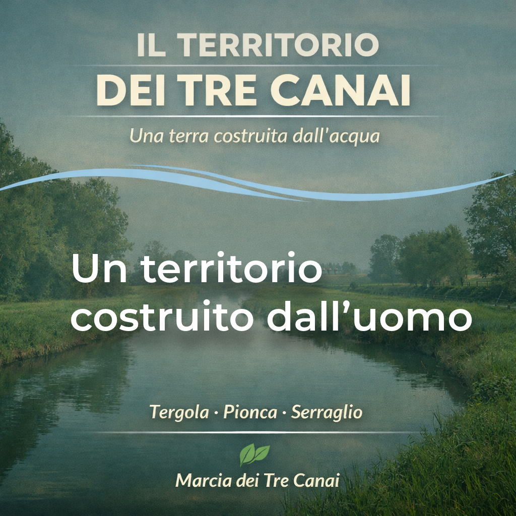 5 – Un territorio costruito dall’uomo